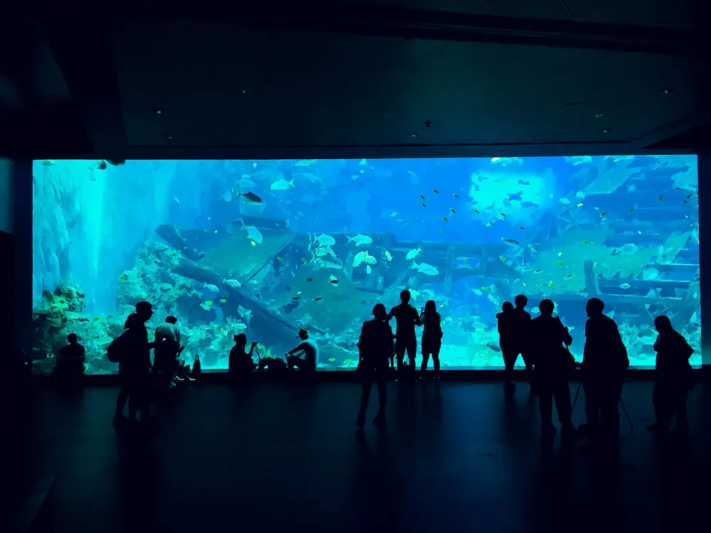 WALL PROJECTION by Modern XD